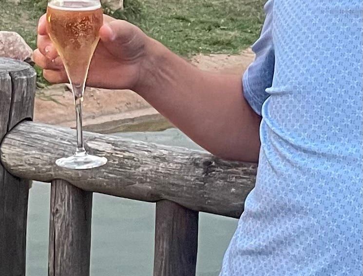 Profil de Erman